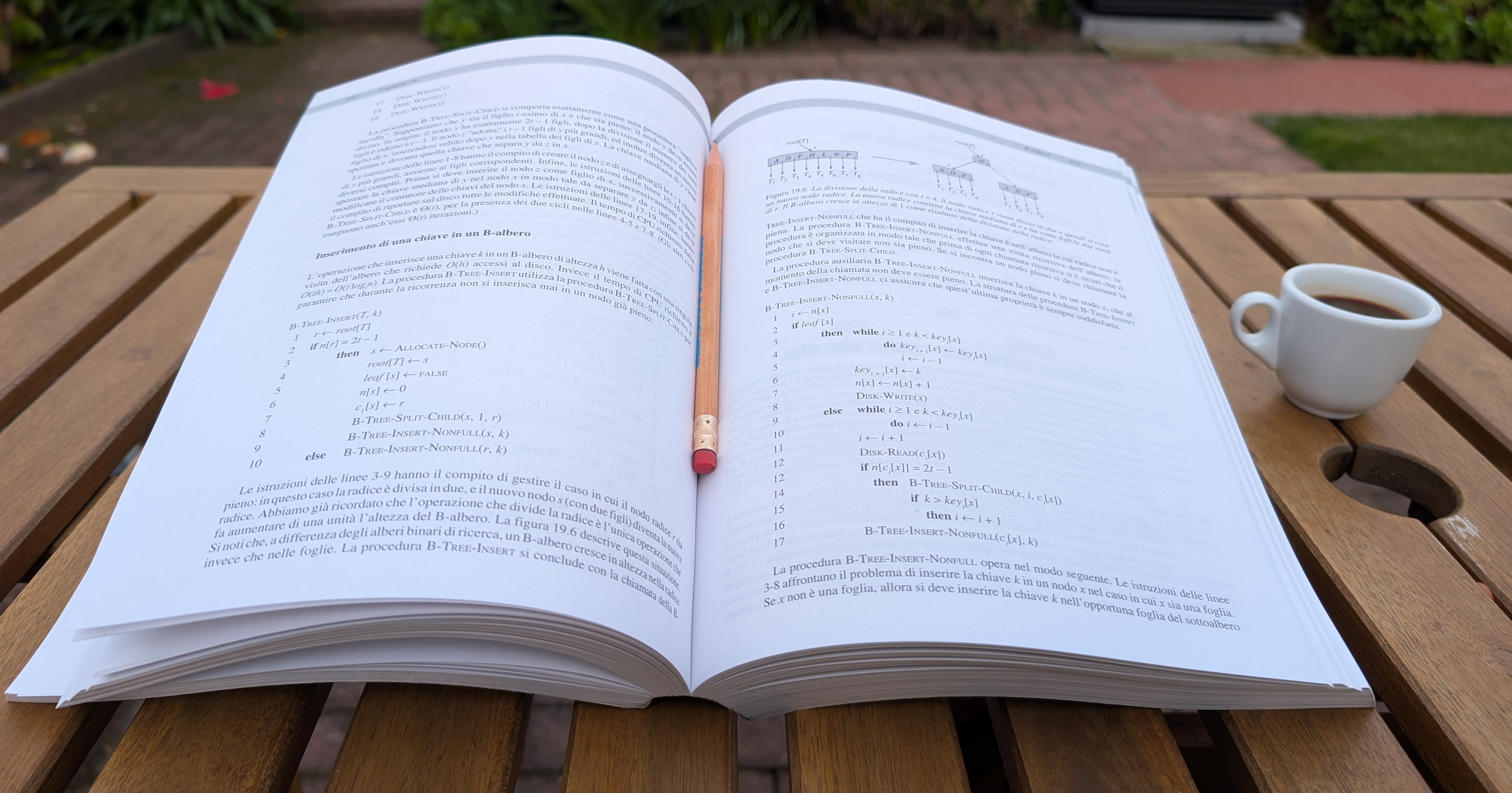 If you have studied it, you know the book: it is over a thousand pages long and it weighs enough to double as a doorstop.